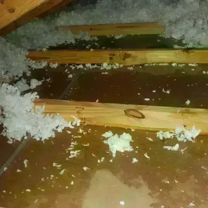 Attic Water Damage in Cumberland County, ME